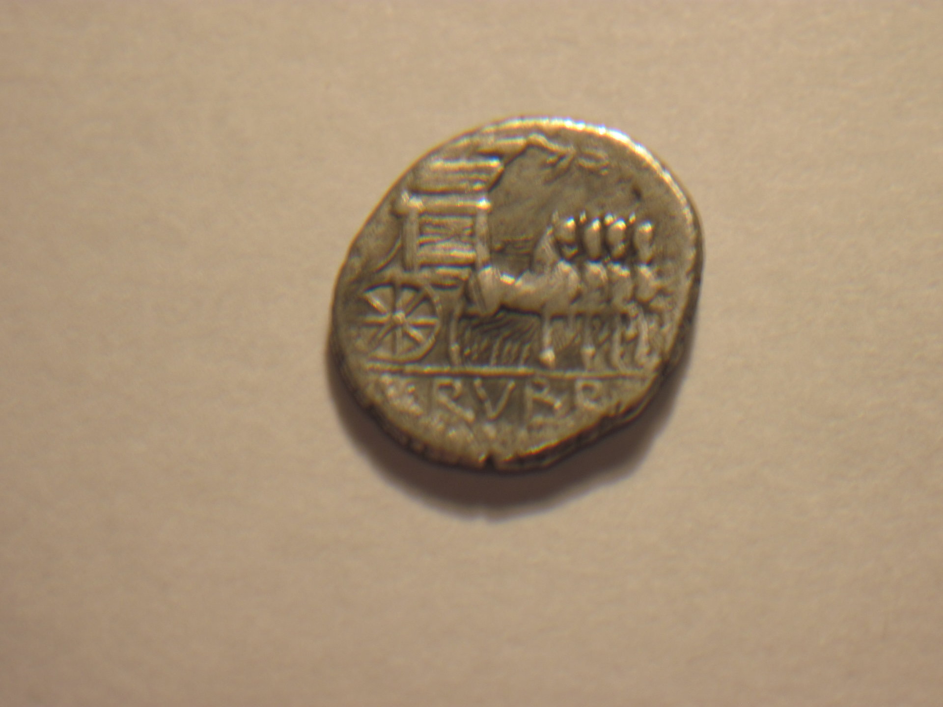 L Rubrius Dossenus 002.JPG