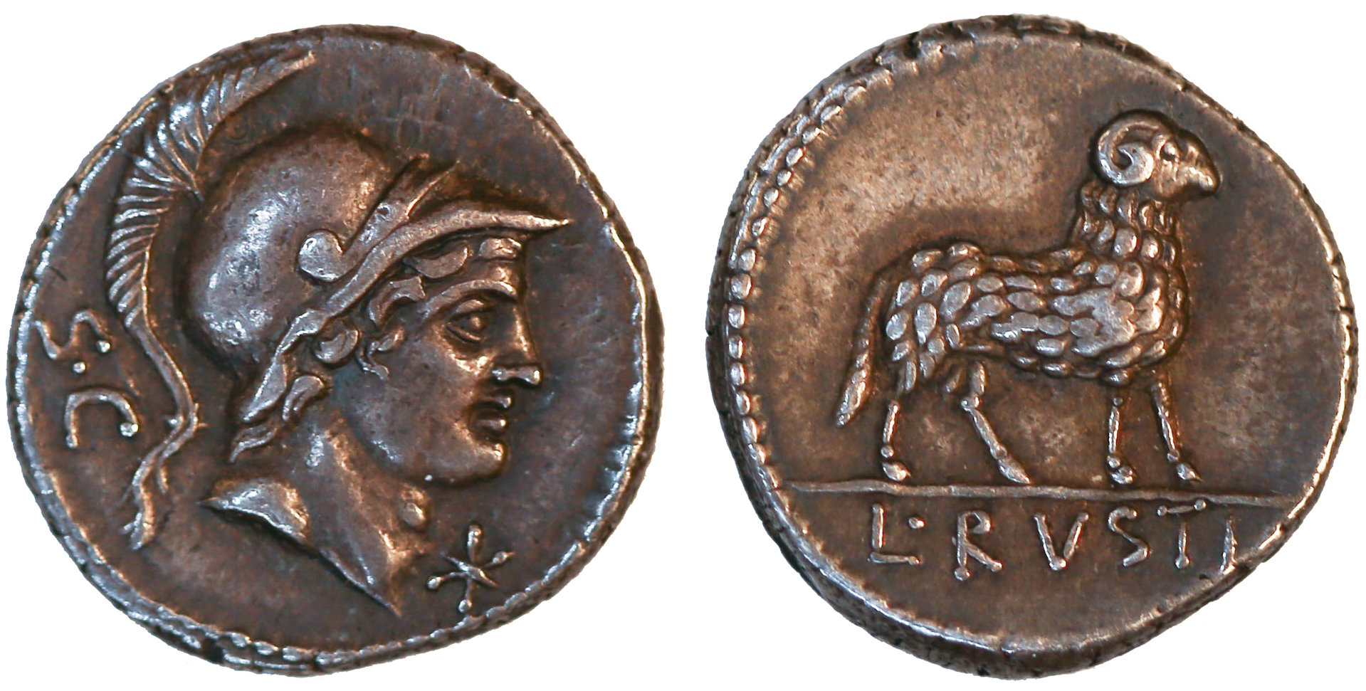 L Rustius 389-1 Pearlman 2015.jpg