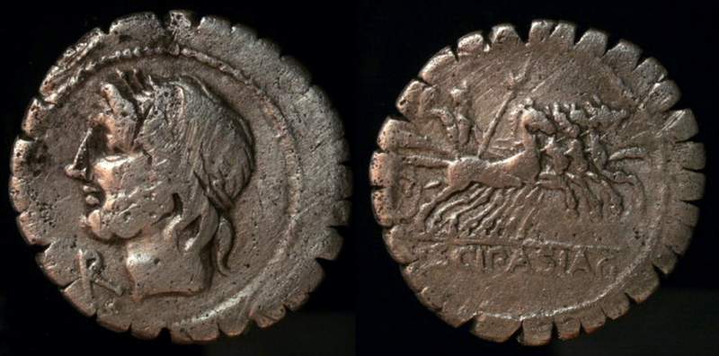 L. SCIPIO ASIAGENUS.jpg