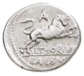 L Thorius b.jpg