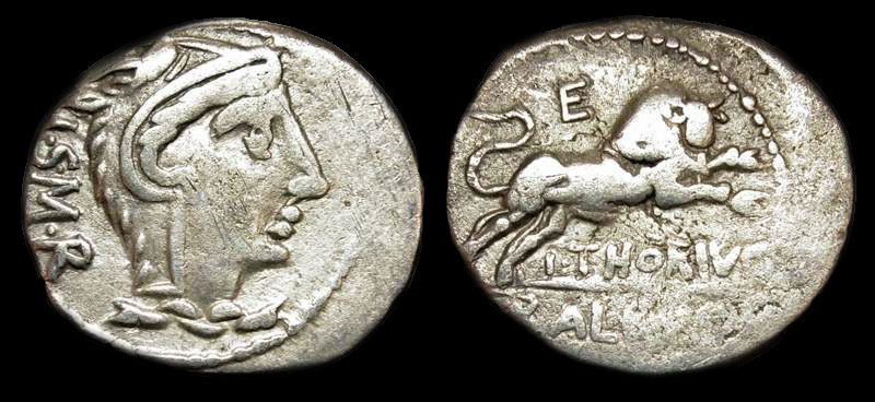 L. THORIUS BALBUS 2.jpg