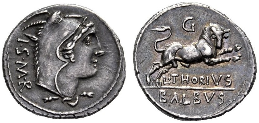 L Thorius Balbus 316-1 NAC 2015.jpg