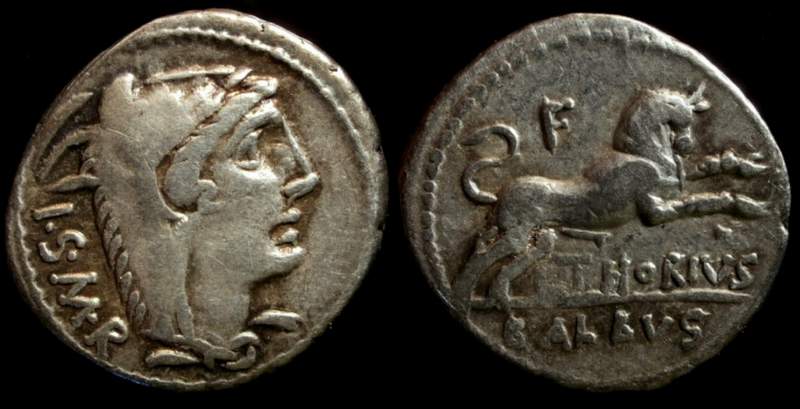 L. THORIUS BALBUS.jpg