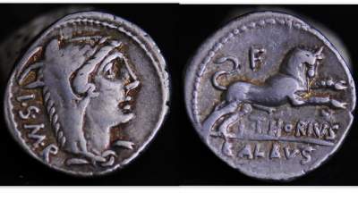 L. THORIUS BALBUS.jpg