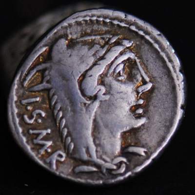 L. THORIUS BALBUS obv.jpg