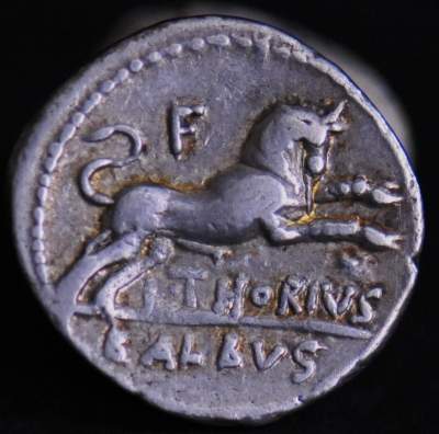 L. THORIUS BALBUS rev.jpg