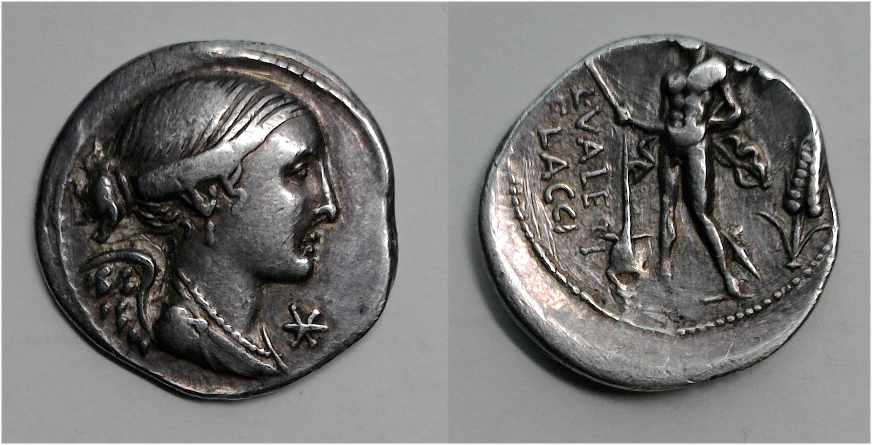 L Valerius Flaccus 2.jpg