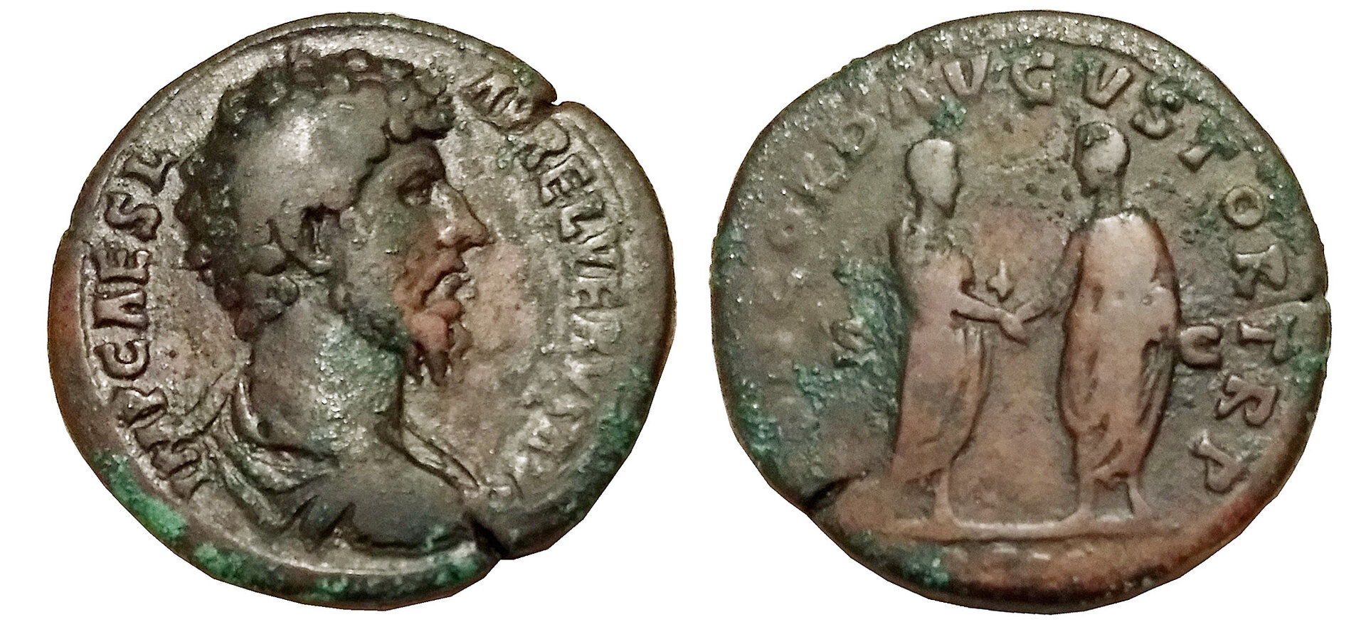 L Verus HS.jpg