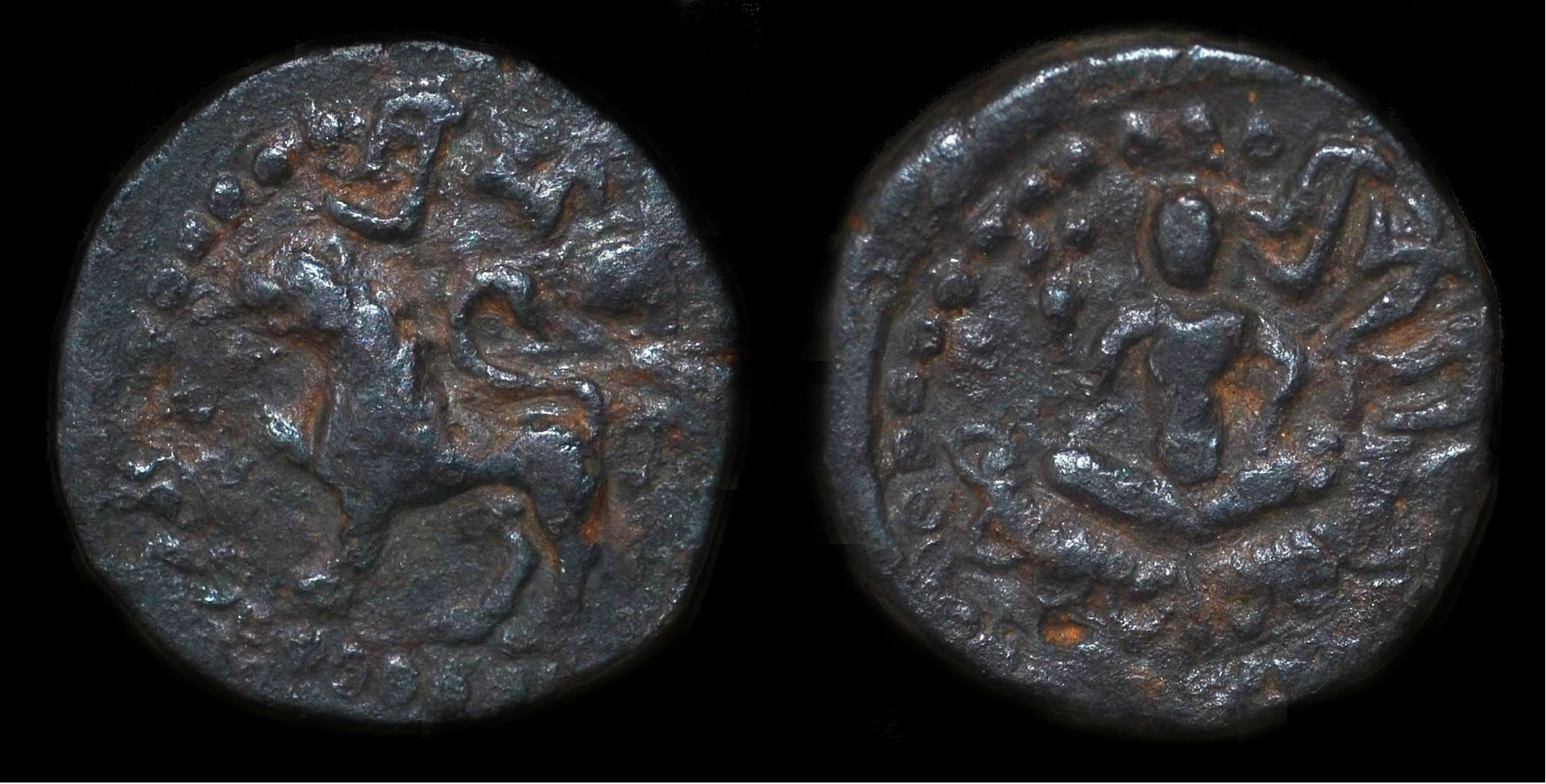 lacchvicc.jpg
