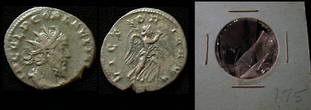 Laelianus.jpg