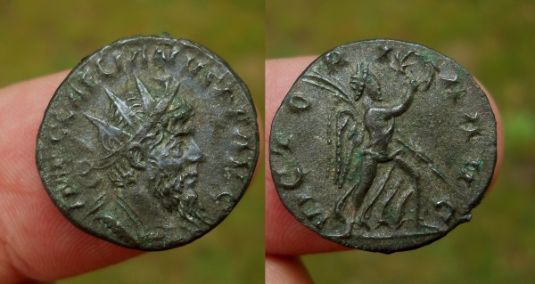 laelianus.jpg