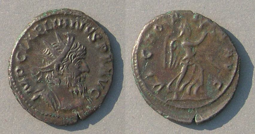 LaelianusVICTORIAAVG8502.jpg