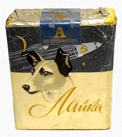 Laika Cig.jpg
