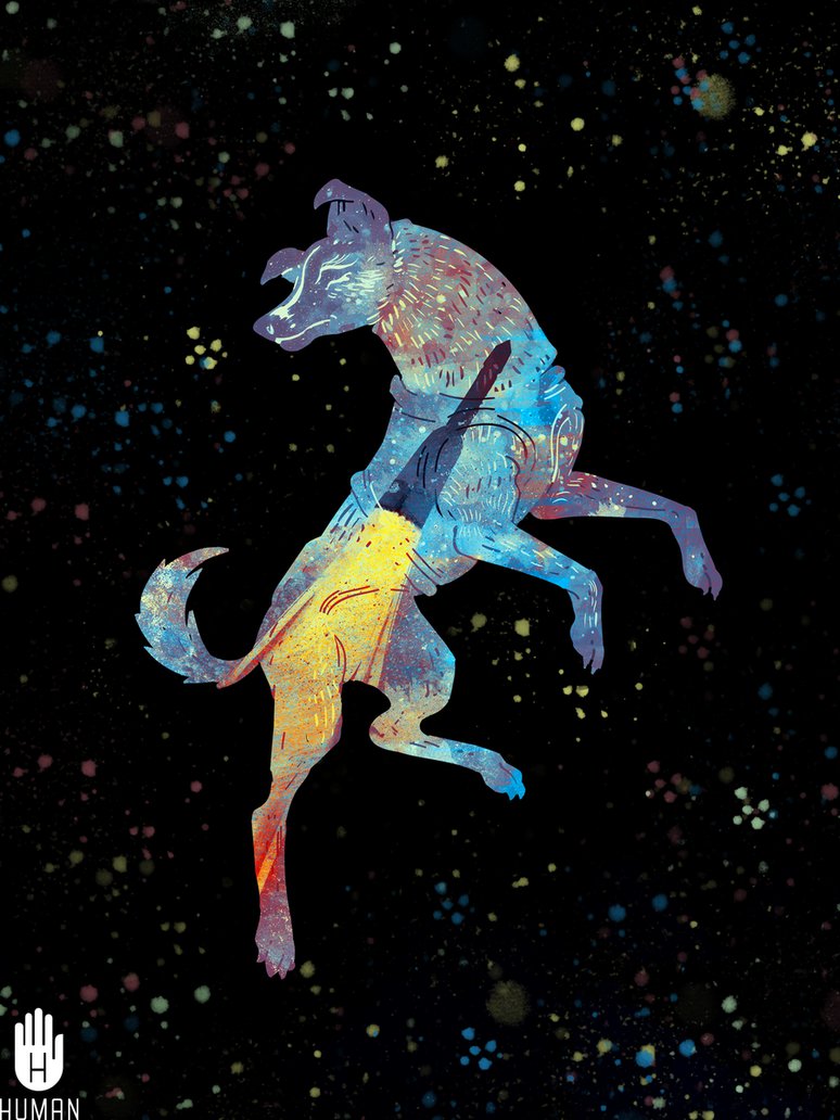 Laika.jpg