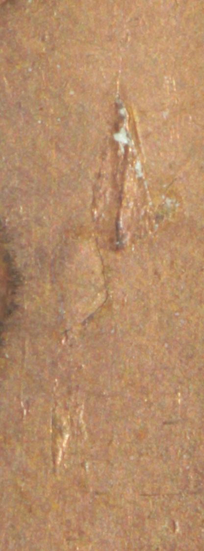 Lamination-2.jpg