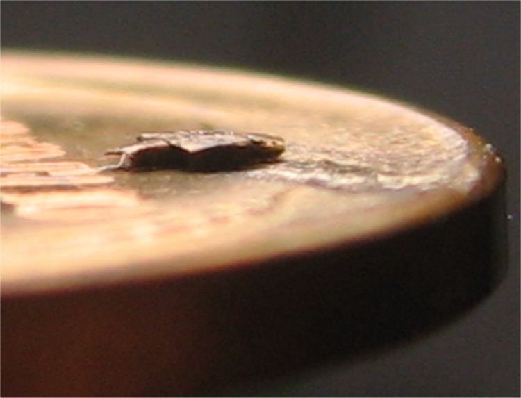 lamination4.jpg