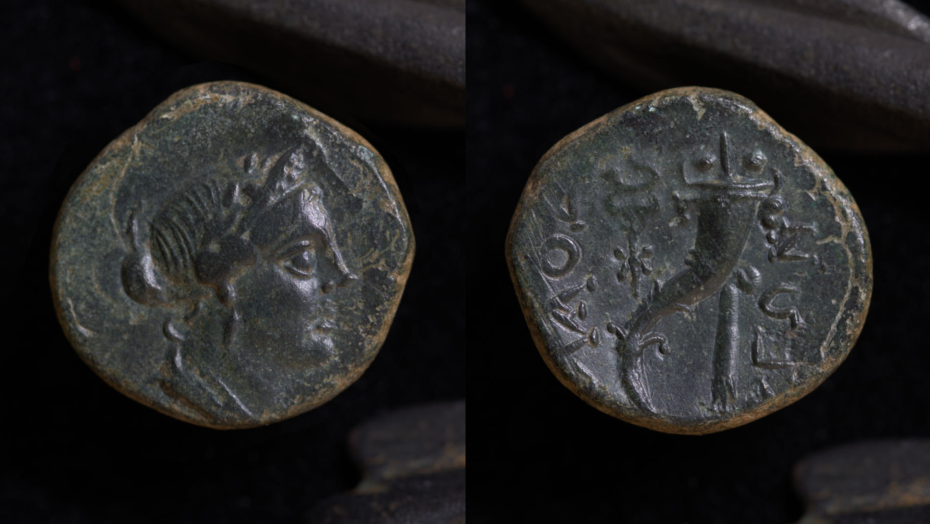 Laodicea Aphrodite.jpg