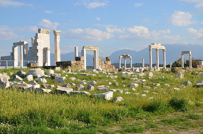 Laodicea_on_the_Lycus,_Phrygia,_Turkey_(21625638235).jpg