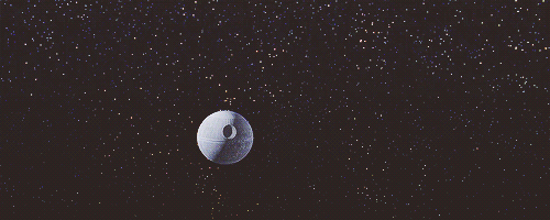 large (2).gif