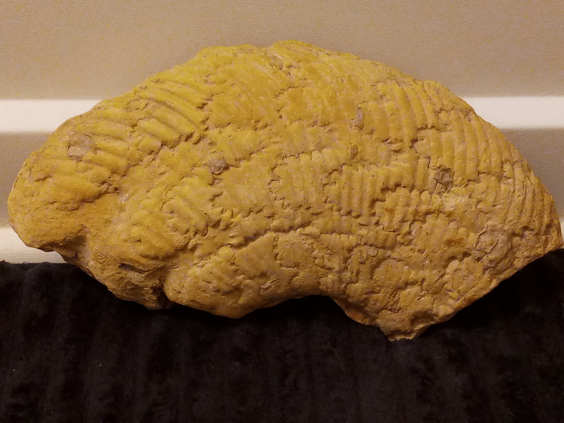 large - side 2.jpg