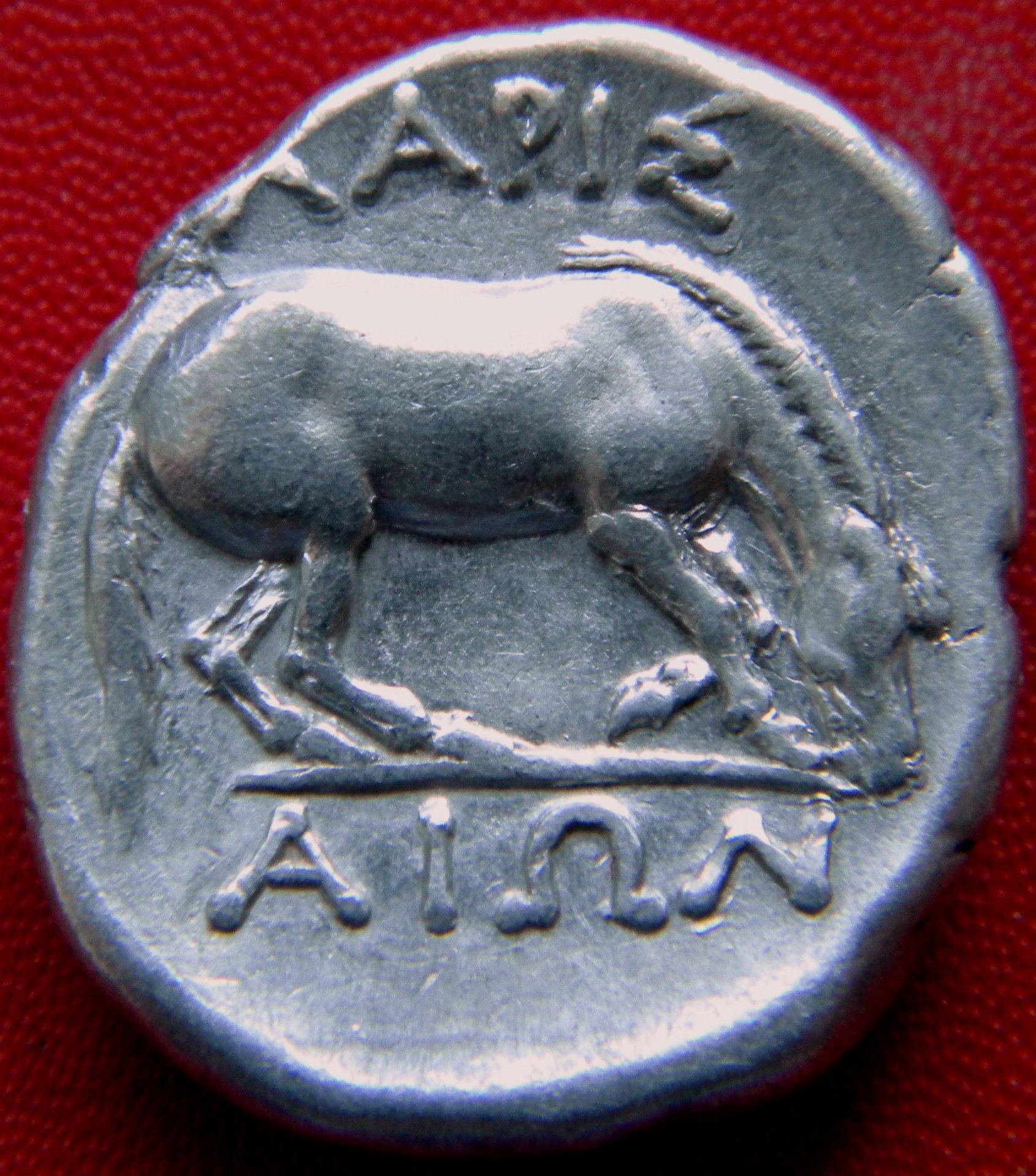 Larihorse.jpg