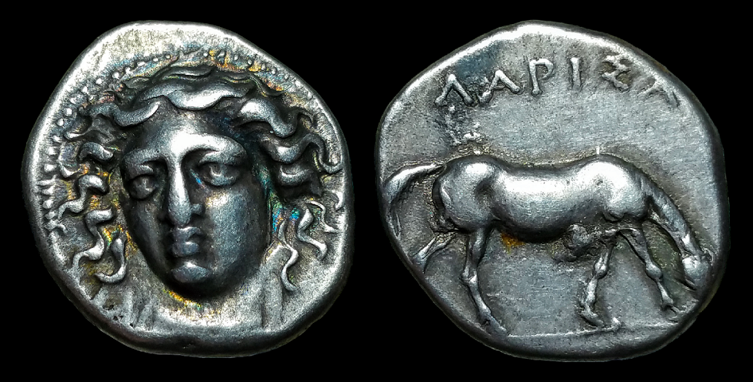 Larissa Drachm 2.png
