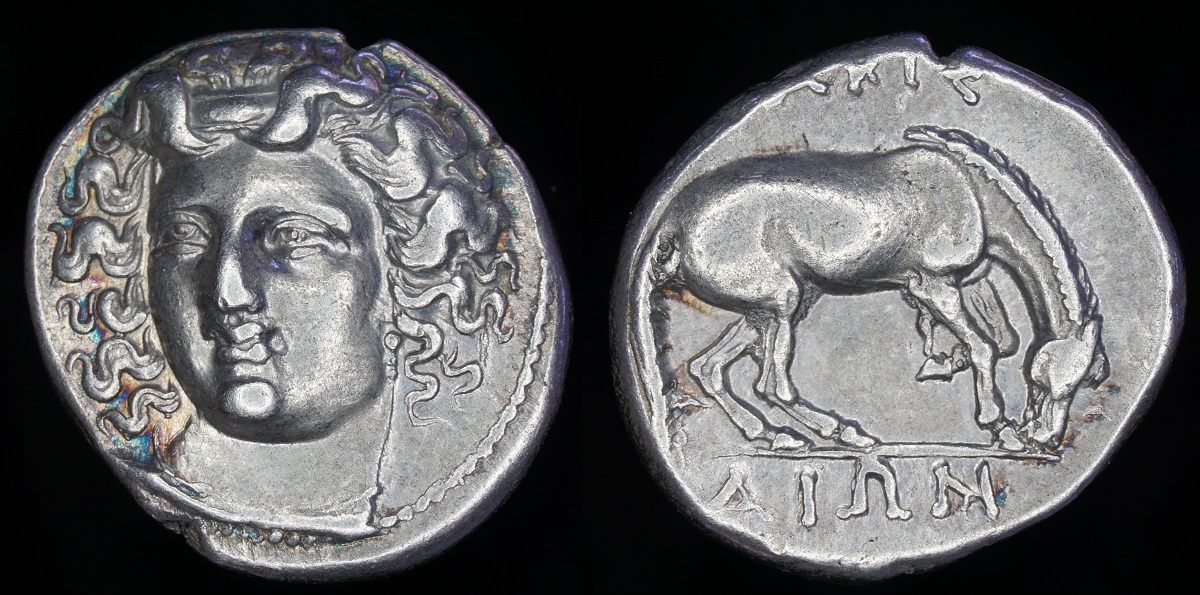 Larissa Drachm 2Ma.jpg