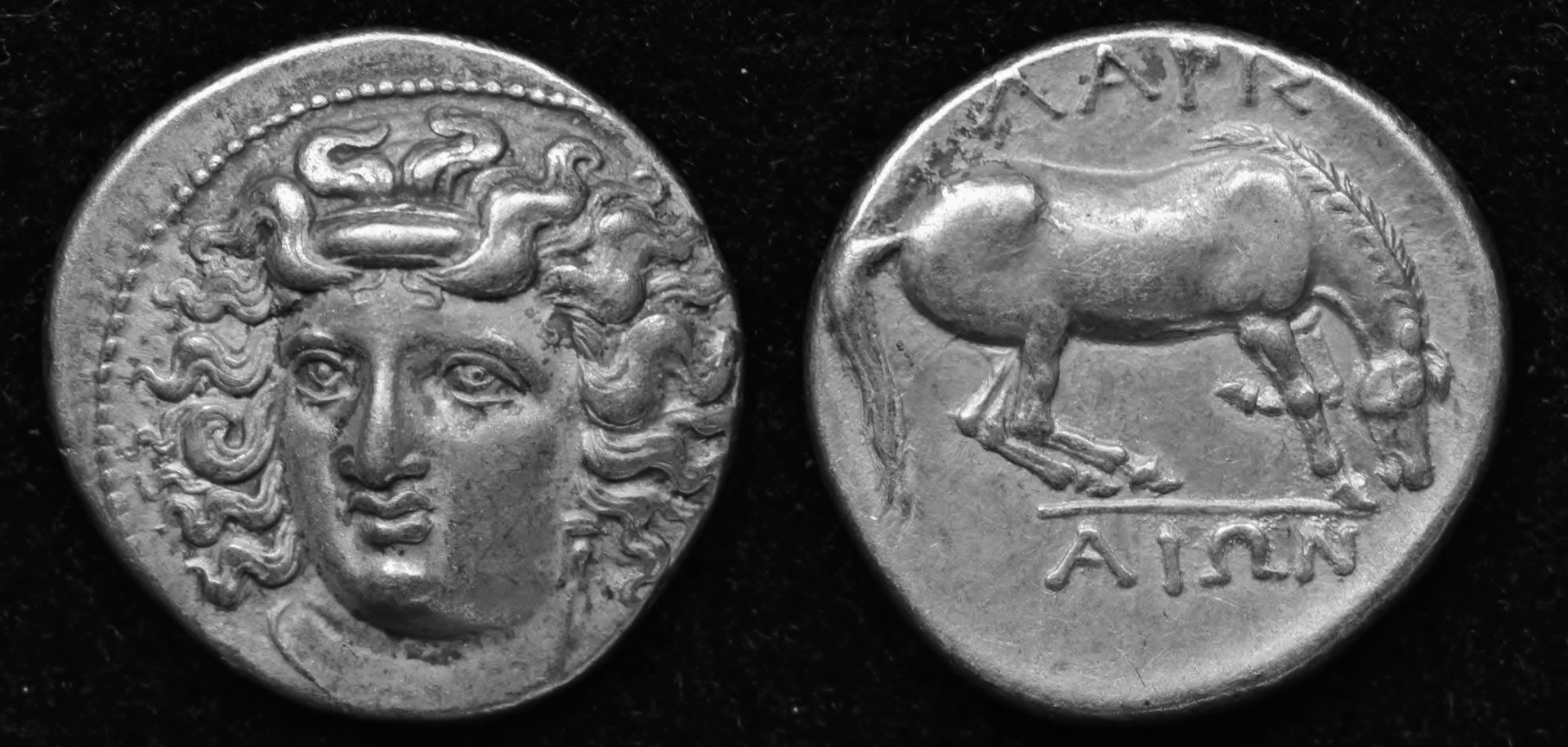 Larissa Drachm.jpg