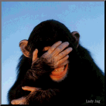 Laughing_Chimp_ATT00050.gif