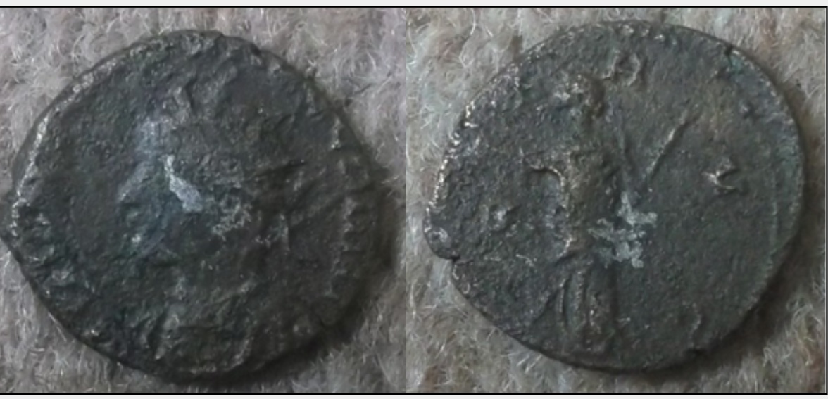 left facing victorinus.jpg