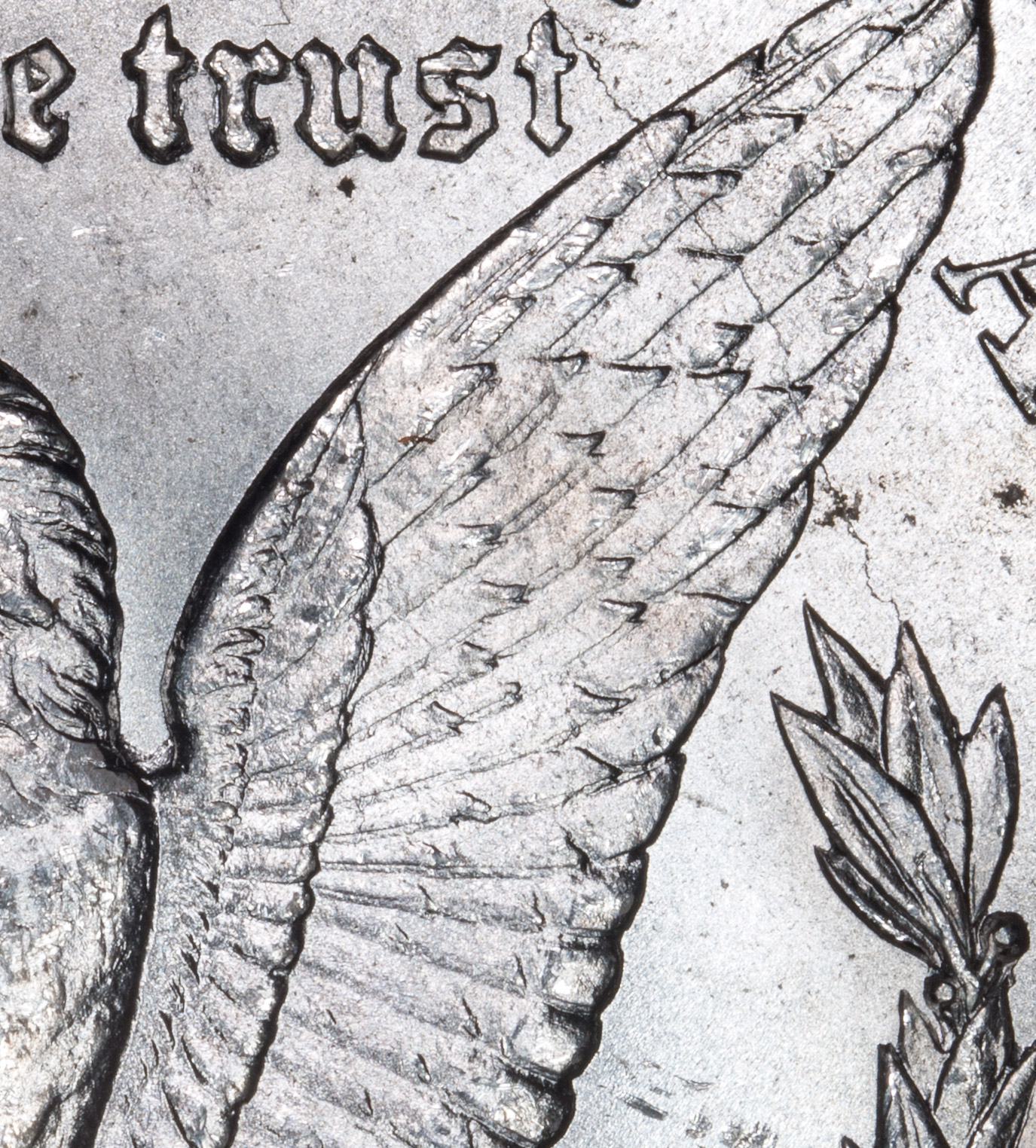 left-wing-detail.jpg