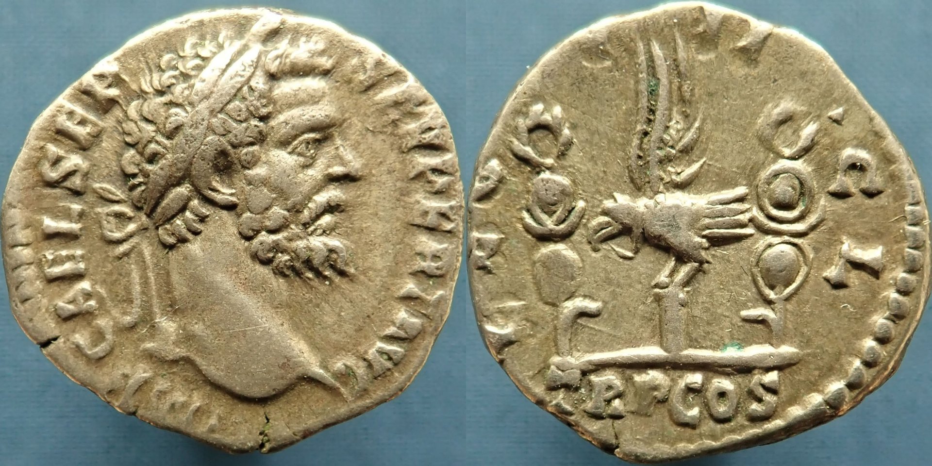 LEG VII CL -B3.JPG