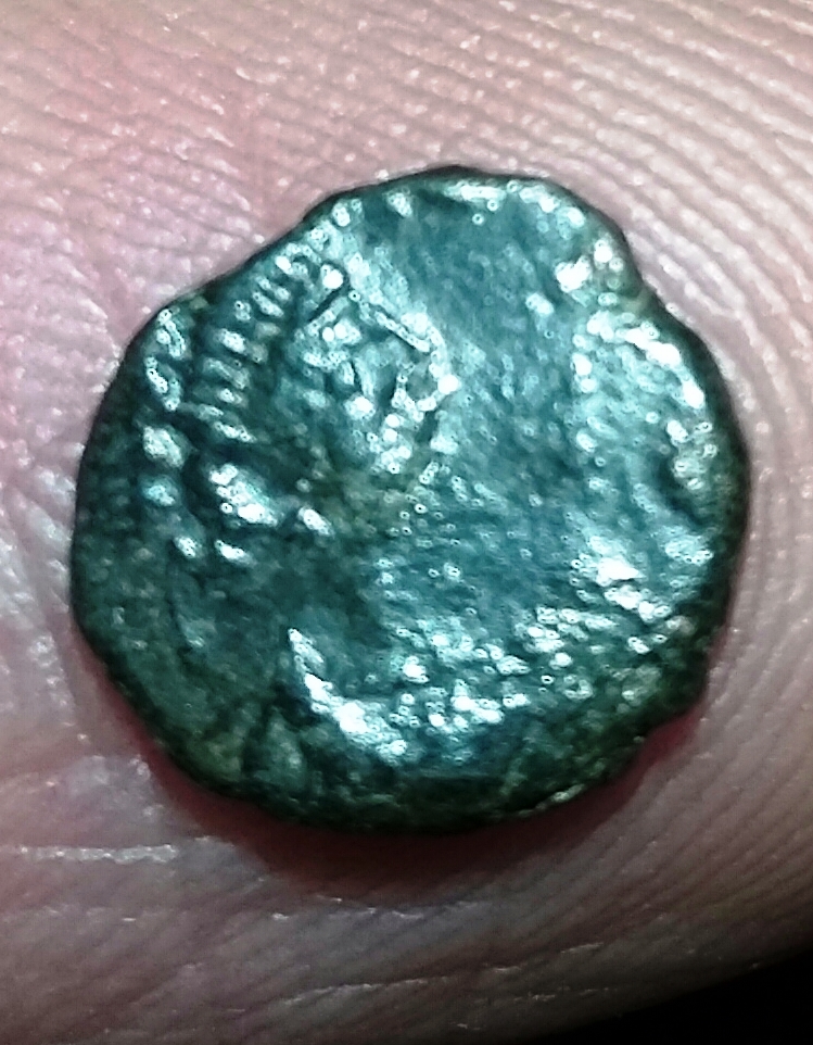 Leo 2 on finger.jpg