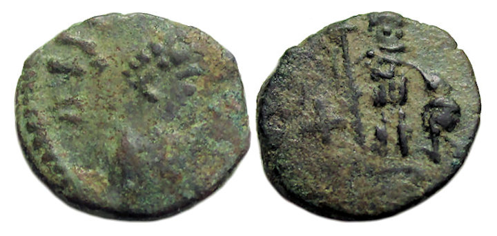 Leo Barb Emperor Captive.jpg