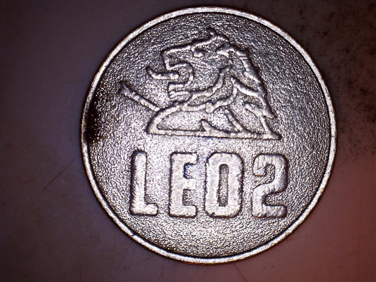 leo21.jpg