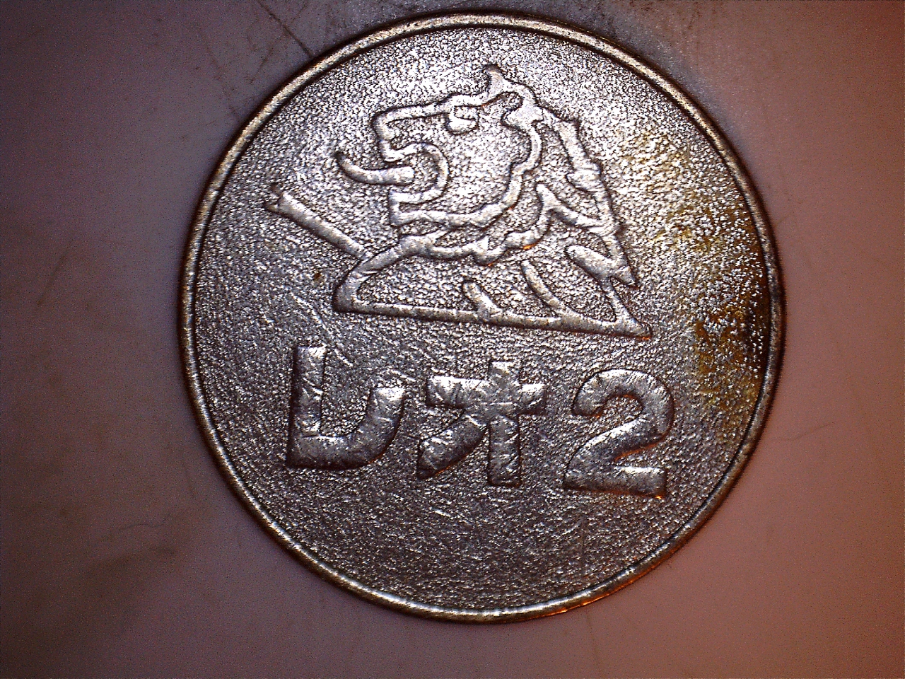 leo22.jpg