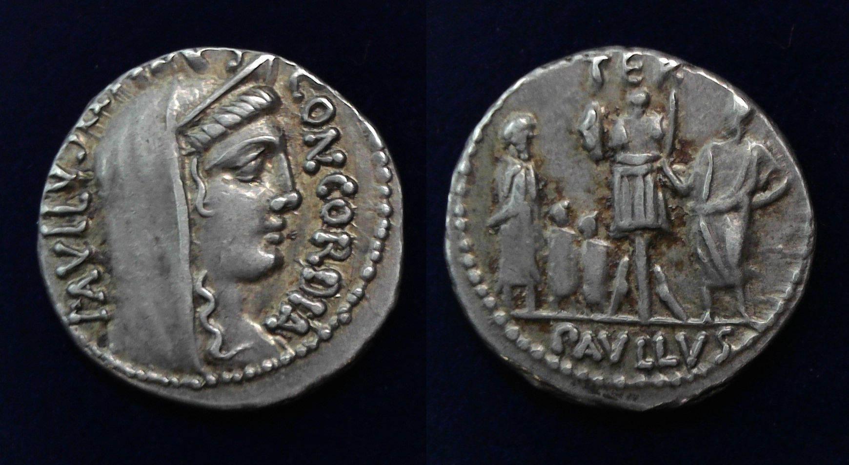Lepidus Concordia b.jpg