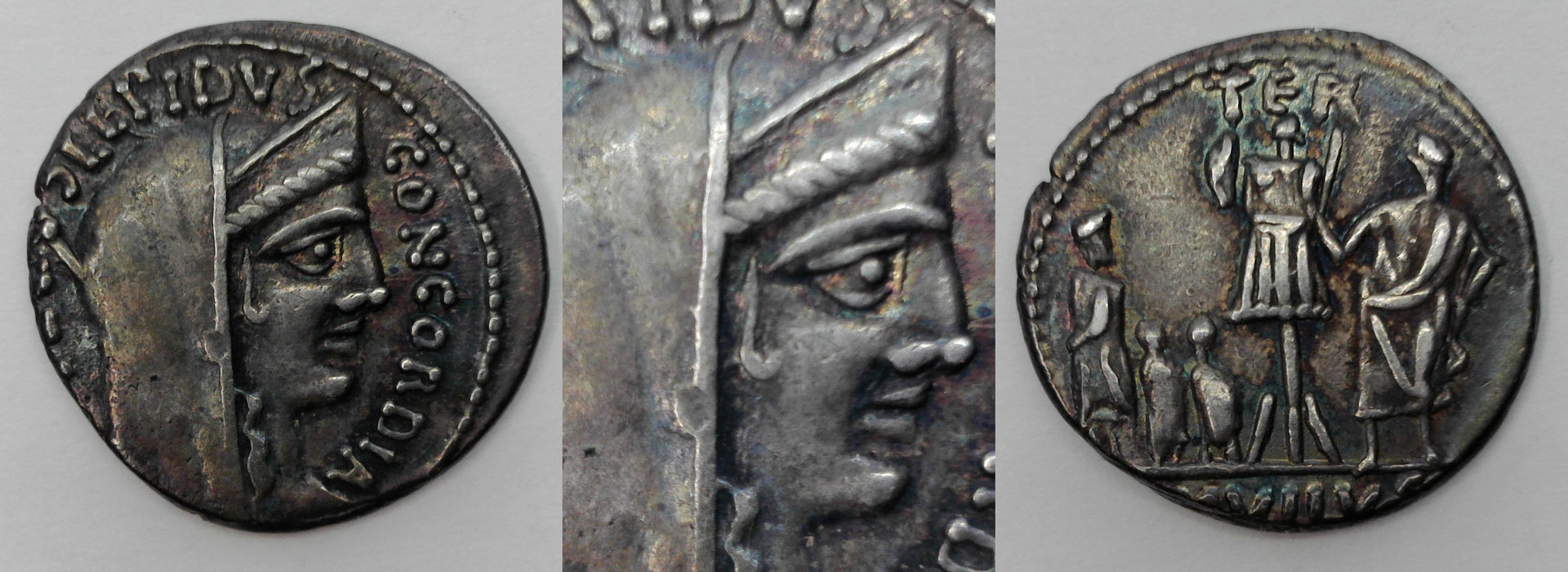 Lepidus Concordia.jpg