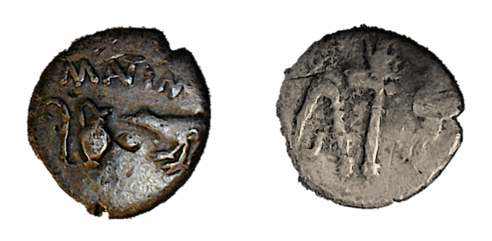 Lepidus.png