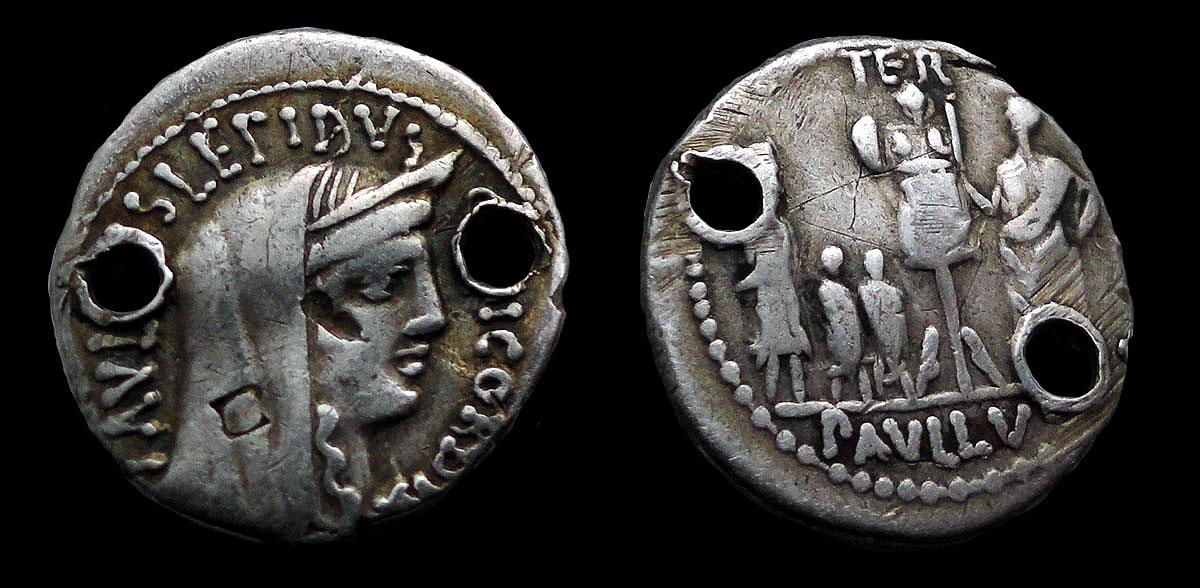 Lepidus_0.jpg