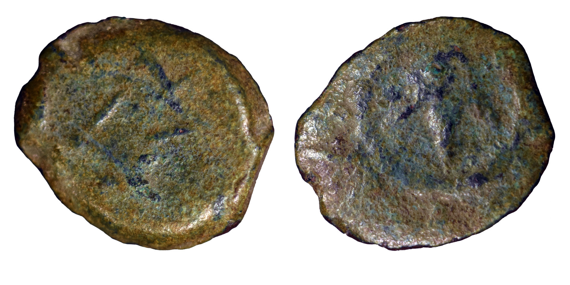 Lepton-2.jpg