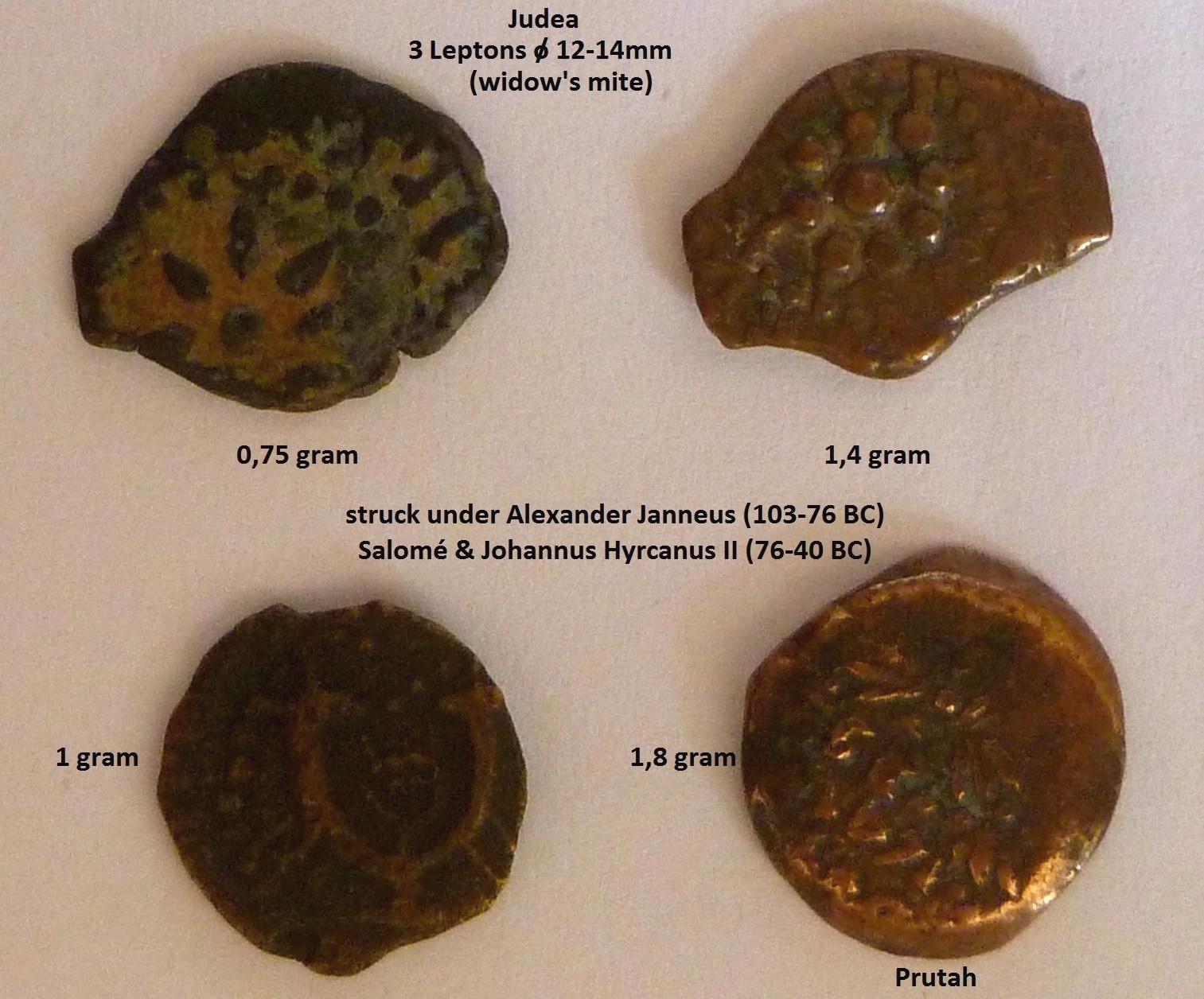lepton 3.JPG