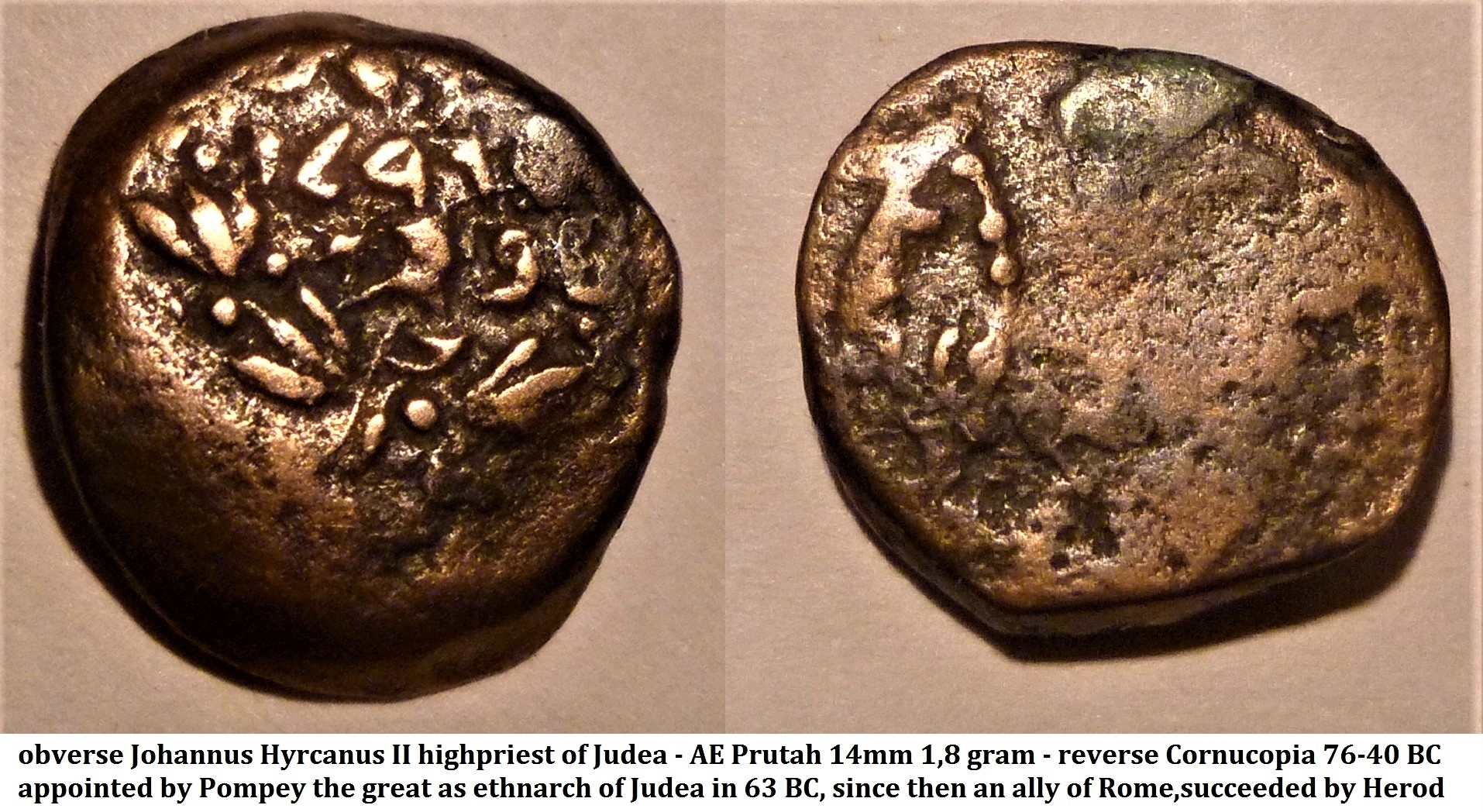 lepton prutah (2).jpg