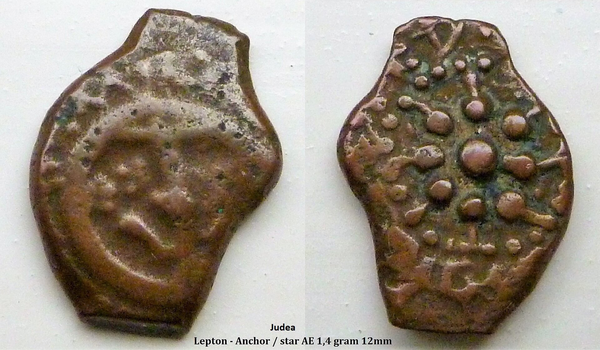lepton2.jpg