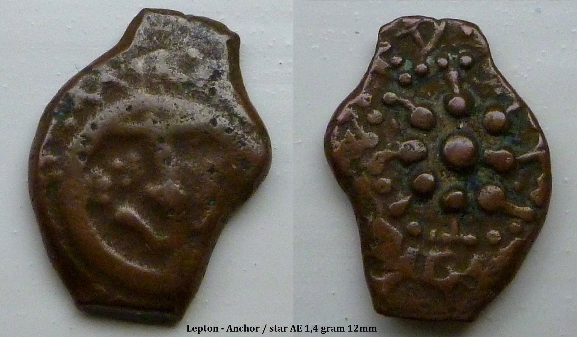 lepton2.jpg