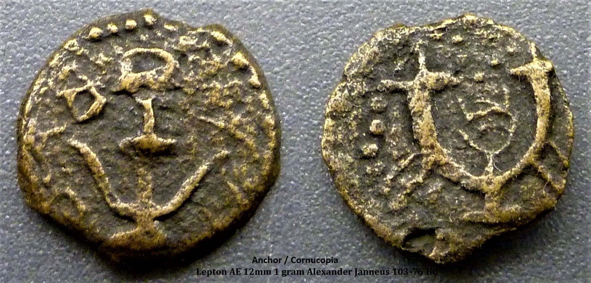 lepton3.jpg