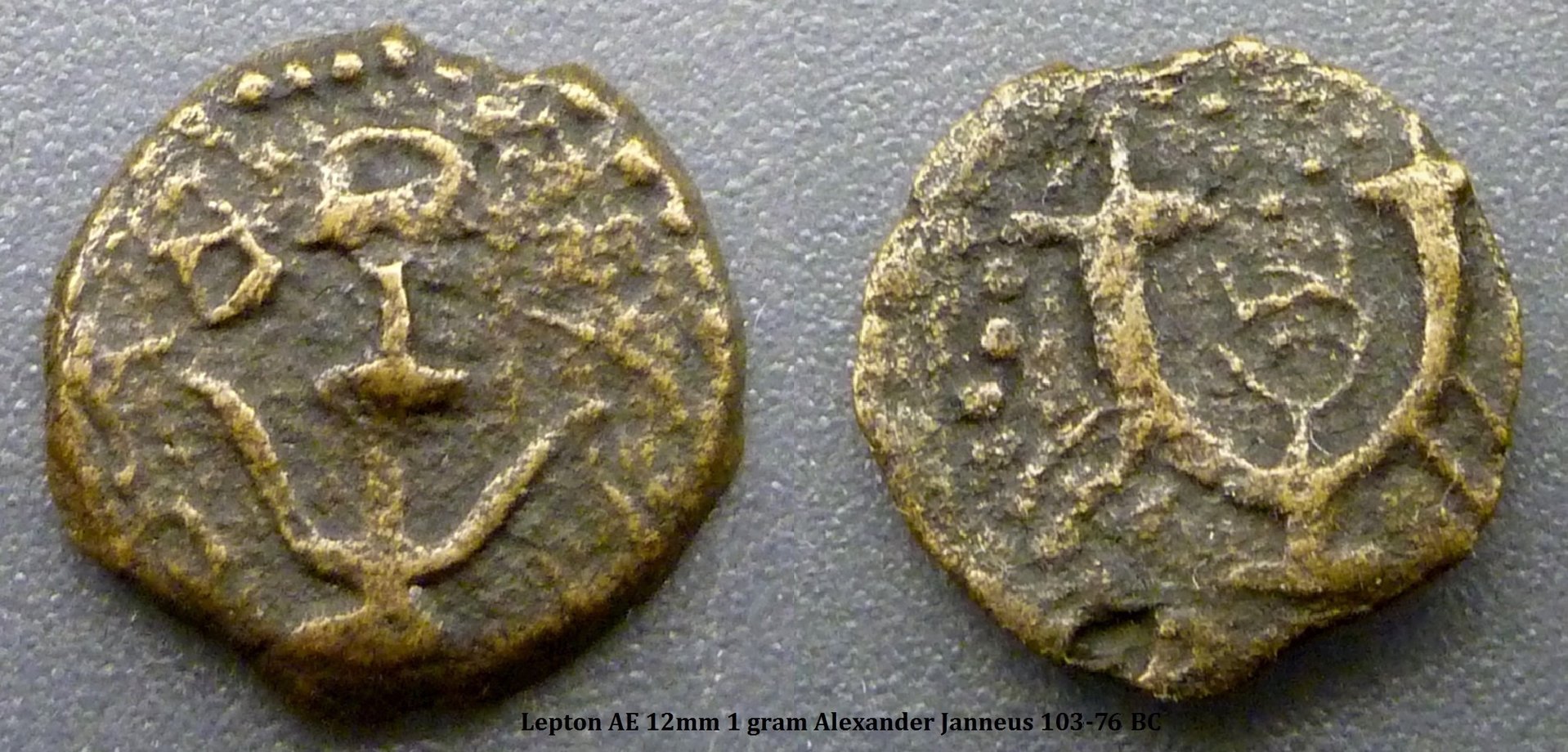 lepton3.jpg
