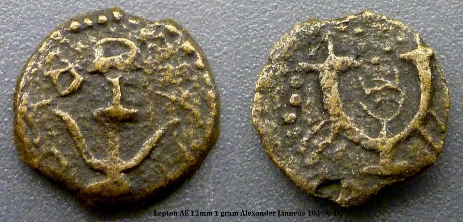 lepton3.jpg