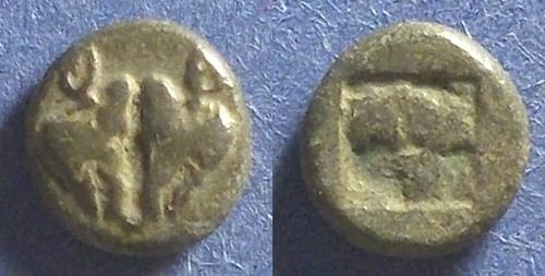 Lesbos Two boars confronted.jpg