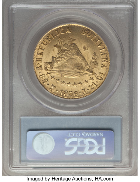 lf - 2020-02-23T083745.703.jpg